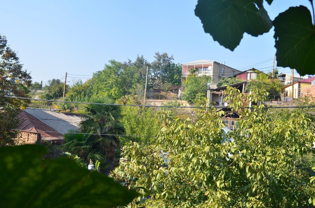 טביליסי Alex'S Cosy Guesthouse חדר תמונה