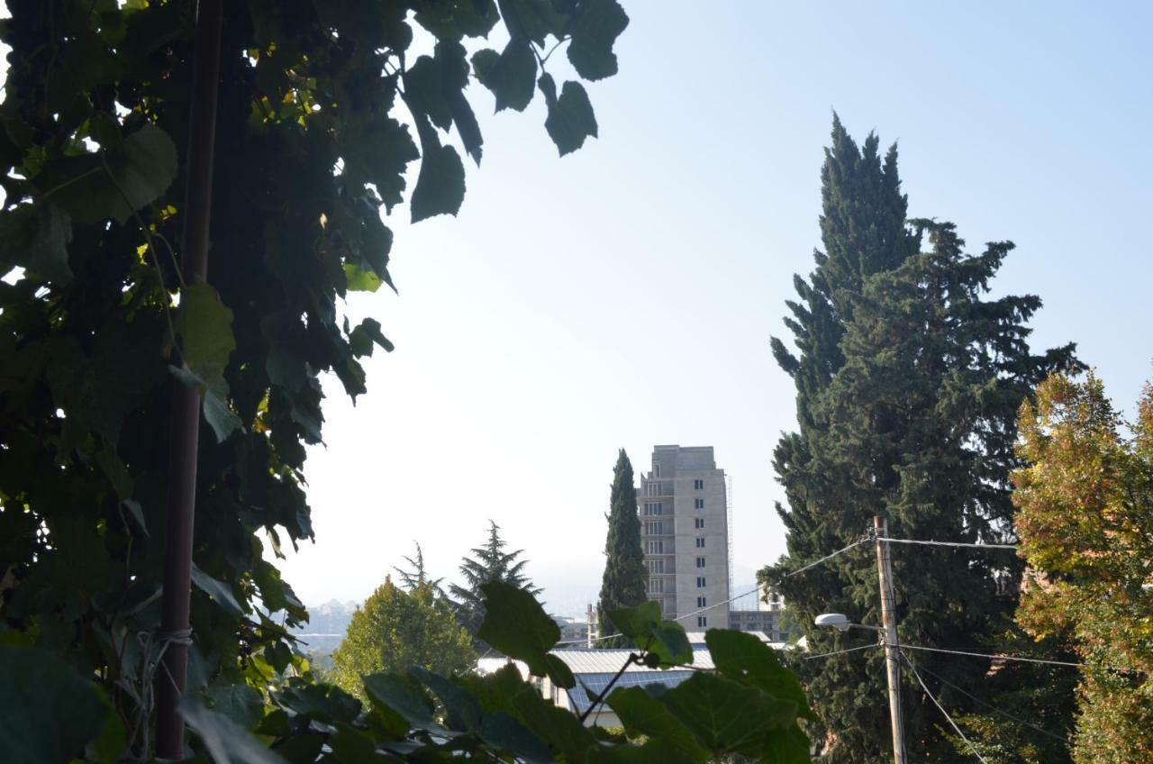 טביליסי Alex'S Cosy Guesthouse מראה חיצוני תמונה